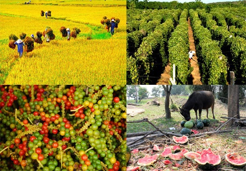 Sản phẩm cả tỷ đô, không ai trông nom trọn vẹn - 1 Sản phẩm cả tỷ đô, không ai trông nom trọn vẹn