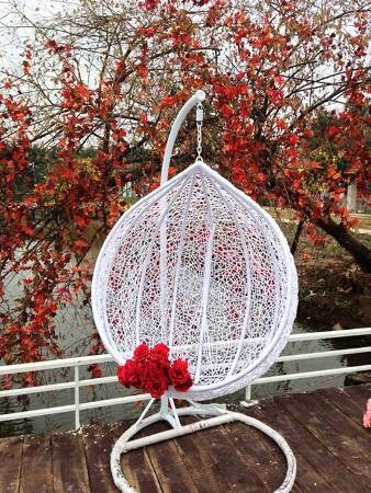 Cơn sốt Hà Thành: Studio mộng mơ moi tiền dân “ngáo ảnh” - 8 Ngôi nhà trang trí đầy hoa, lên ảnh rất bắt mắt