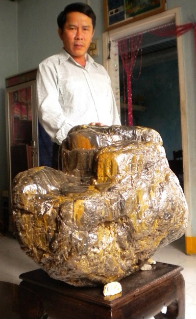 Gốc cây huyền sử ngàn năm giá tiền tỷ của đất Việt - 9 Ông Lê Văn Bảy bên gốc cây gỗ hóa thạch hàng ngàn năm tuổi