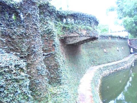 Lâu đài châu Âu tuyệt đẹp giữa nông thôn Hà Nội - 11 Bức tường ngăn khu biệt thự với hồ điều hòa được cây dây leo phủ kín toàn bộ.