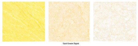 Gạch ngói 22 và granite Digital - Sự lựa chọn tinh tế cho ngôi nhà - 1 Gạch Granite Digital có độ tinh xảo cao, đa dạng về màu sắc, mẫu mã.