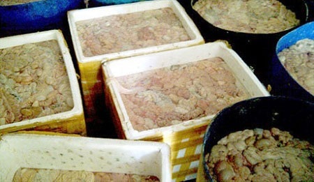 Chặn nửa tấn lòng thối định "tuồn" vào Thủ đô - 1 Chặn nửa tấn lòng thối định tuồn vào Thủ đô