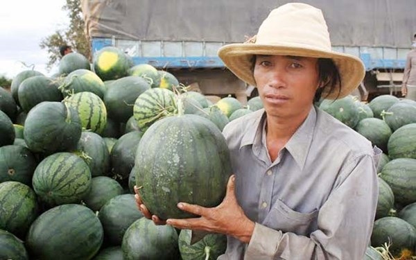 Giật mình cán cân thương mại Việt Nam - Trung Quốc: Nhập siêu tăng 100 lần trong 10 năm - 1 Giật mình cán cân thương mại Việt Nam - Trung Quốc: Nhập siêu tăng 100 lần trong 10 năm