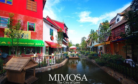 Du lịch Thái Lan sôi động trở lại - 3 Không gian Mimosa đang mê hoặc những cặp đôi bởi lối kiến trúc và tràn ngập mùi hương lan tỏa