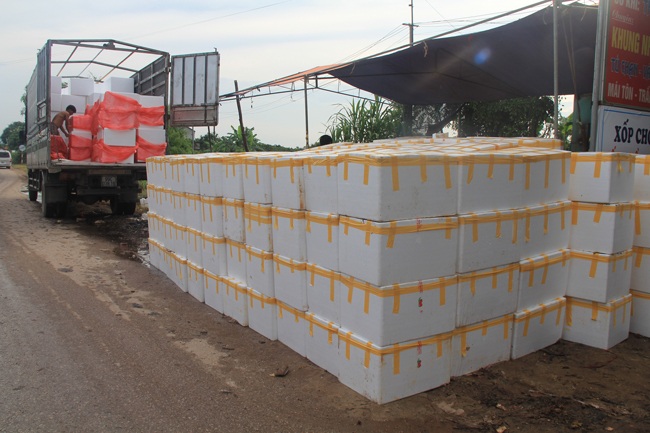 Các chủ vườn đèo vải ra chợ rao bán, chờ các thương lại lựa chọn thu mua.