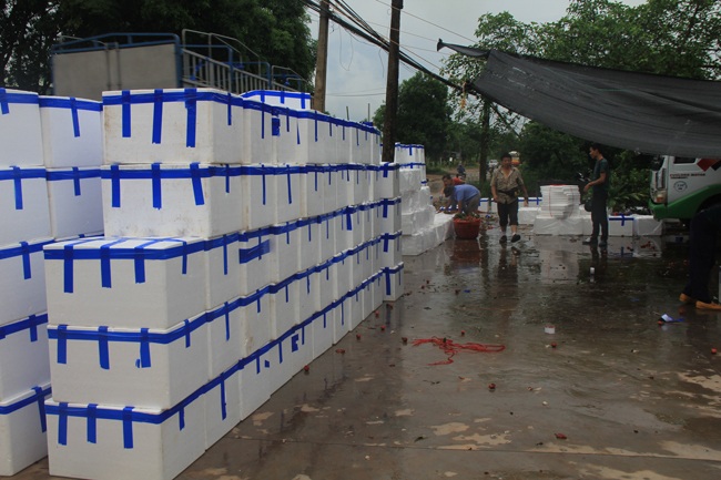 Họ mua vải với số lượng lớn.