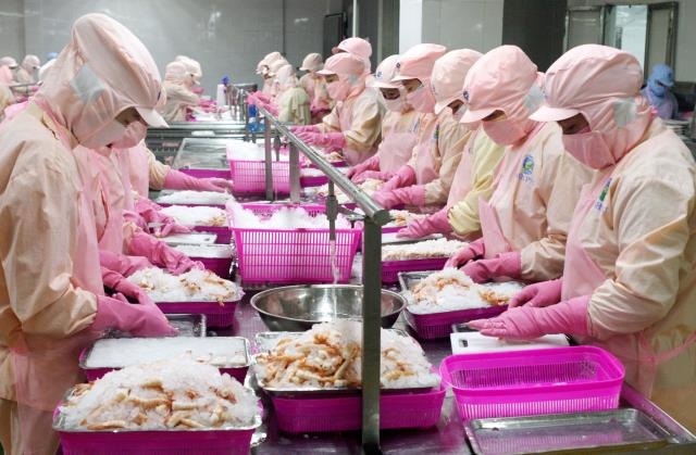 Giao thương với Trung Quốc: Nhiều rủi ro trong thanh toán - 1 Nhiều DN thủy sản gặp khó trong thanh toán khi XK sang Trung Quốc. Ảnh: Trần Việt.