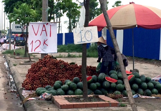 Vải 8.000, mận 10.000 đồng/kg: Bán ngập chợ - 2 Hoa quả giá rẻ dội chợ, bán ngập trên đường đường Hà Nội (ảnh B.H)