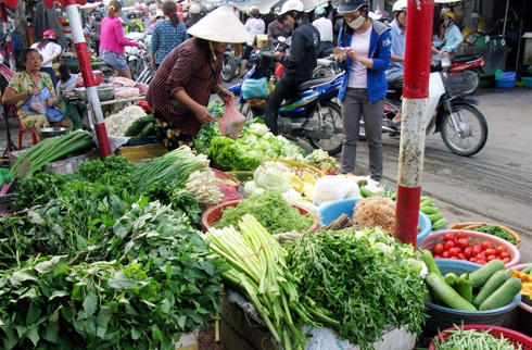 Run rẩy, phát bệnh vì kiêng rau quả Tàu - 1 Mua rau ngoài chợ, nhiều bà nội trợ hãi hùng vì không biết chất lượng ra sao?