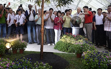 Vì sao với Lý Quang Diệu, cây xanh là lợi thế quốc gia? - 1 Ông Lý Quang Diệu trồng cây tếch trong Ngày trồng cây năm 2014
