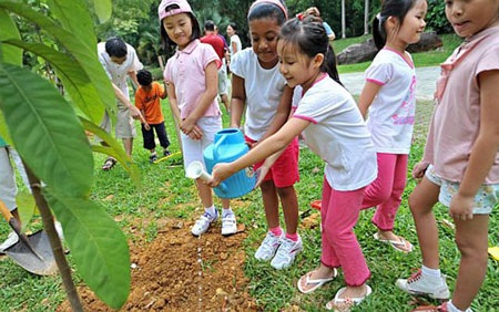Vì sao với Lý Quang Diệu, cây xanh là lợi thế quốc gia? - 4 Singapore ngày nay là một đảo quốc xanh sạch đẹp
