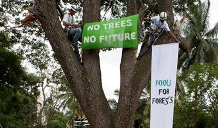 Gay cấn chuyện chặt cây trên thế giới - 1 Giăng băng-rôn phản đối chặt cây ở thành phố Bangalore của Ấn Độ (Ảnh: Esgindia)