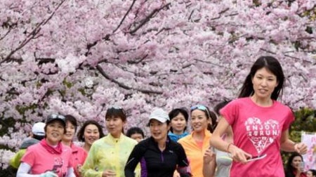 Trung Quốc tranh giành "hoa anh đào" với Nhật Bản - 1 Người dân chạy bộ dưới những tán anh đào ở Tokyo hôm 29/3