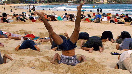 Dân Australia vục đầu vào cát để biểu tình - 4 (ảnh: The Guardian)