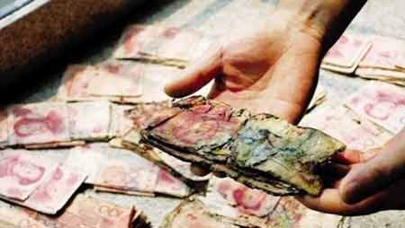 Tiền mục thu từ nhà Mã Siêu Quần