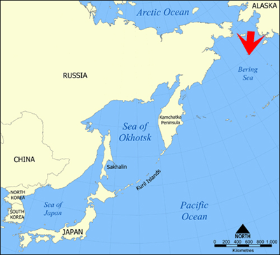 Hàn Quốc: Khó khăn tìm kiếm 50 người mất tích trên tàu bị đắm - 1 Con tàu chìm ở biển Bering, gần Nga, cách Hàn Quốc khoảng 4.600 km (Đồ họa: Wiki)