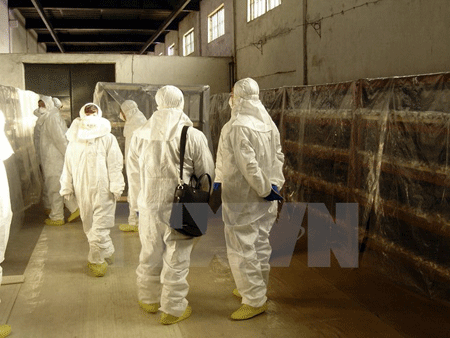 IAEA cảnh báo nguy cơ khủng bố tấn công các cơ sở hạt nhân - 1 Ảnh minh họa (nguồn: AFP/TTXVN)