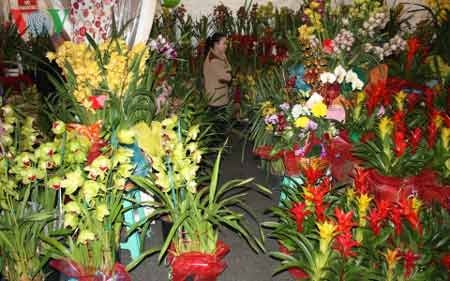Chợ hoa Tết Phước-Lộc-Thọ của người Việt tại Mỹ tưng bừng đón Xuân - 3 Các loại hoa được bày bán tại chợ