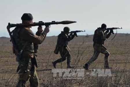 Ukraine yêu cầu triển khai phái bộ hòa bình tới miền Đông - 1 Lực lượng tình nguyện Ukraine huấn luyện quân sự tại thành phố Mariupol ngày 27/2 (Ảnh: AFP/TTXVN)