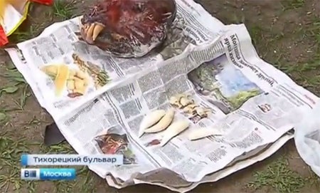 (Video): Hai người Việt ở Nga bị bắt vì buôn hổ Amur quý hiếm - 1 Tang vật là đầu con hổ đông lạnh cùng nhiều chiếc răng nanh. (Nguồn:
