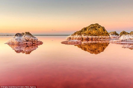 Nước hồ đổi màu do loài tảo Dunaliella