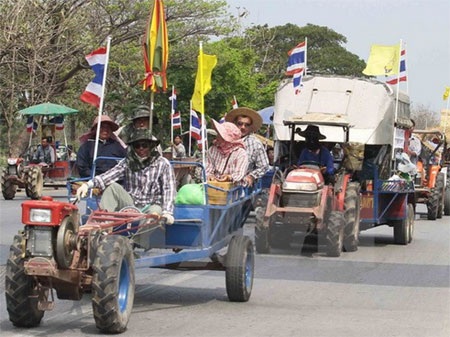 Bê bối trong trợ giá gạo ở Thái Lan (Bài 1): "Con dao hai lưỡi" - 1 Nông dân Thái trên những chiếc xe trong cuộc biểu tình ở Bangkok ngày 20/2. (Nguồn: THX/TTXVN)