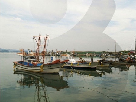 Một thuyền viên Việt Nam tử nạn trên tàu đánh cá của Hàn Quốc - 1 Ảnh minh họa. (Nguồn: