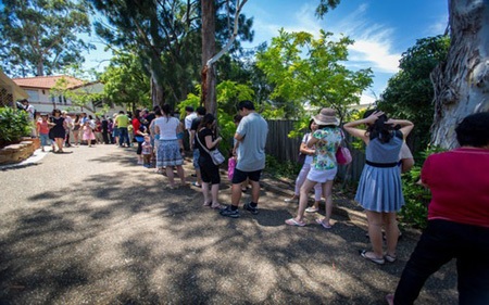 Người mua nhà xếp hàng đợi xem một ngôi nhà được rao bán ở Sydney. (Ảnh: