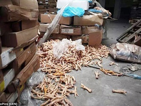 Người Trung Quốc bị đầu độc thực phẩm bẩn như thế nào? - 1 Kinh hoàng “Chân gà xác sống”