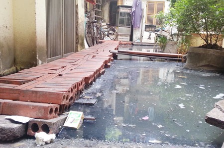 Bài 1: Cụm dân cư vật lộn trong cảnh ô nhiễm, xú uế giữa thủ đô - 3 Nguy cơ dịch bệnh luôn đe dọa người dân khu 146 Quán Thánh.