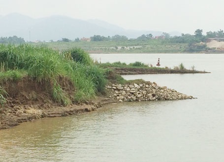 Tỉnh Phú Thọ chỉ đạo làm rõ vụ khai thác cát đe dọa đất canh tác của nông dân - 1 Việc khai thác cát gần bờ ở khu bãi bồi xã Tử Đà khiến dư luận bức xúc
