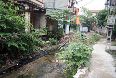 Hình ảnh ao tù không cón hiếm với các hộ dân nơi đây