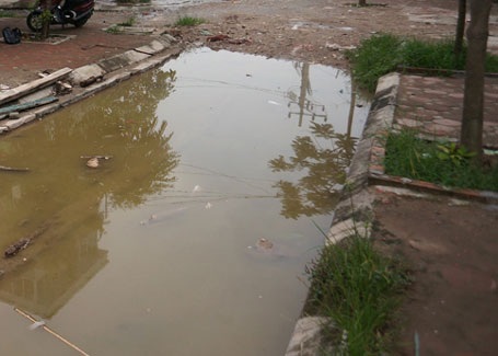 Hình ảnh ao tù không cón hiếm với các hộ dân nơi đây