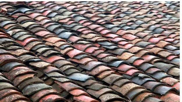 Cao nguyên đá Đồng Văn trong con mắt phóng viên nước ngoài - 8 Đoạn cuối con đường