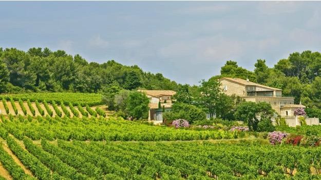 Nắng ấm Malaysia