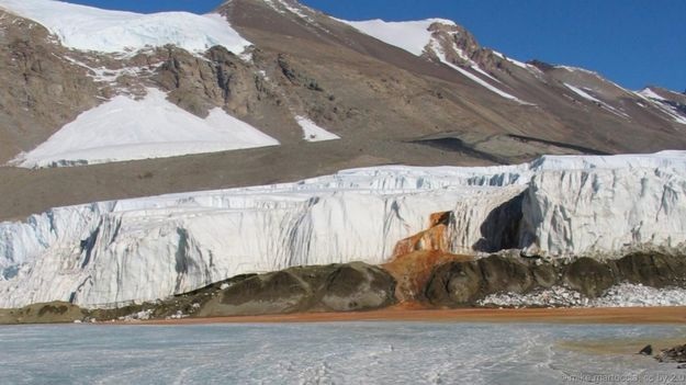 Những vùng nước kỳ ảo nhất thế giới - 4 Sông Cano Cristales, Colombia