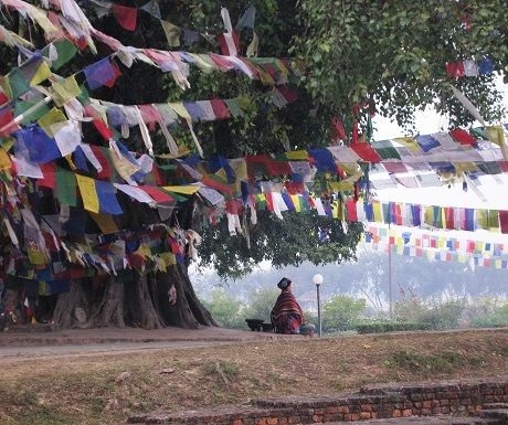Đến với "Nóc nhà thế giới" - 3 Đến với Nóc nhà thế giới