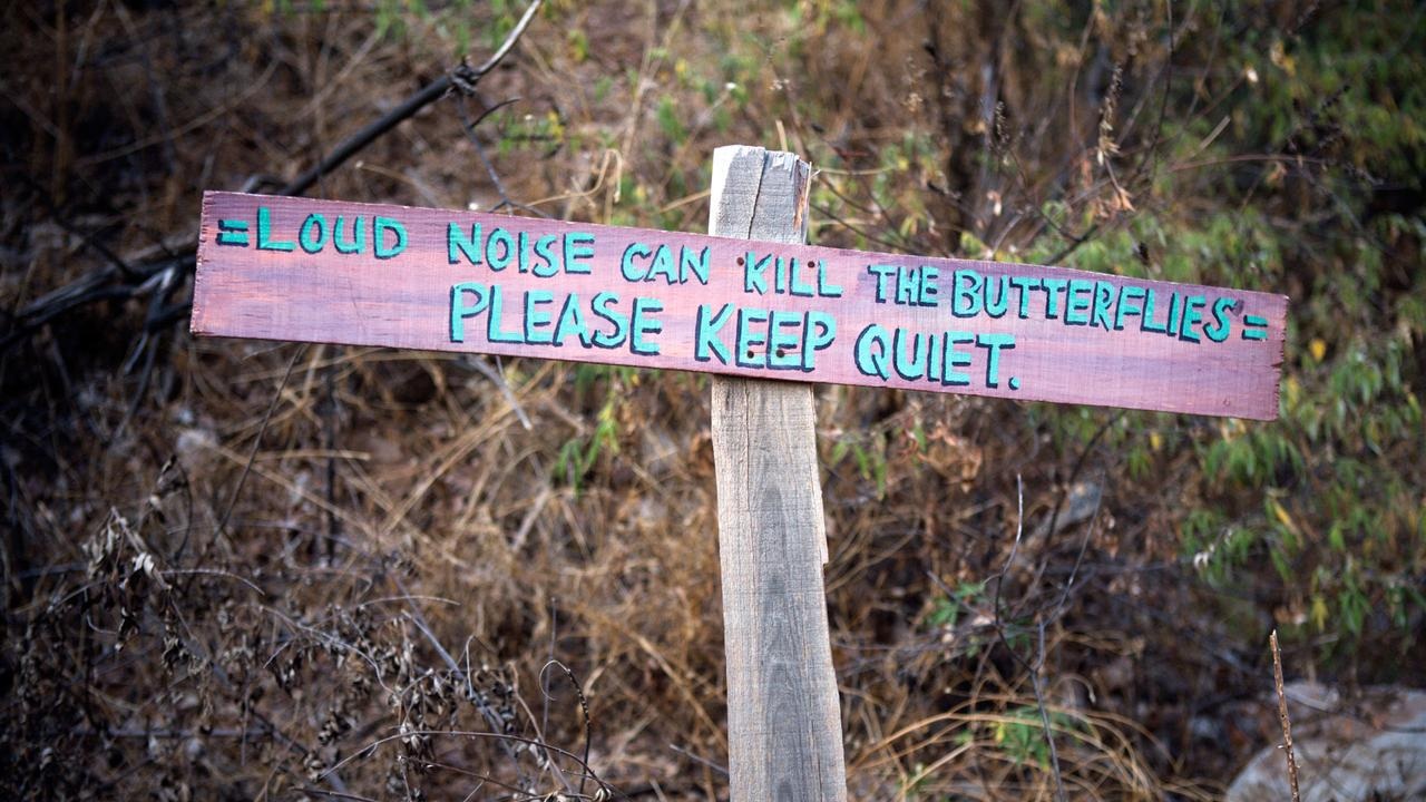 Nơi đây là nhà của nhiều loài bướm