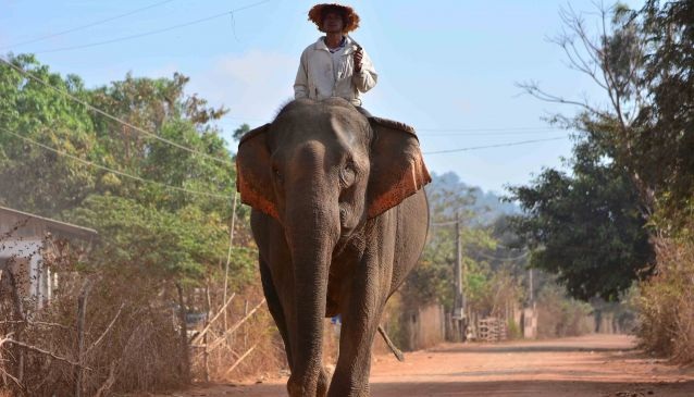ĐắK Lắk “nhiều màu sắc” qua trang du lịch nước ngoài - 4 Thậm chí vào mùa khô, thác nước vẫn có vẻ đẹp tuyệt vời