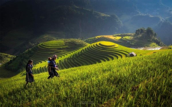 Ruộng bậc thang Tây Bắc đẹp ngỡ ngàng qua ống kính nhiếp ảnh gia Thái Lan - 3 Hà Anh