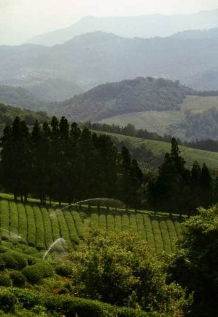 Những điểm kỳ thú trong hành trình du ngoạn đường sông tại Nga - 9 Đảo Matua