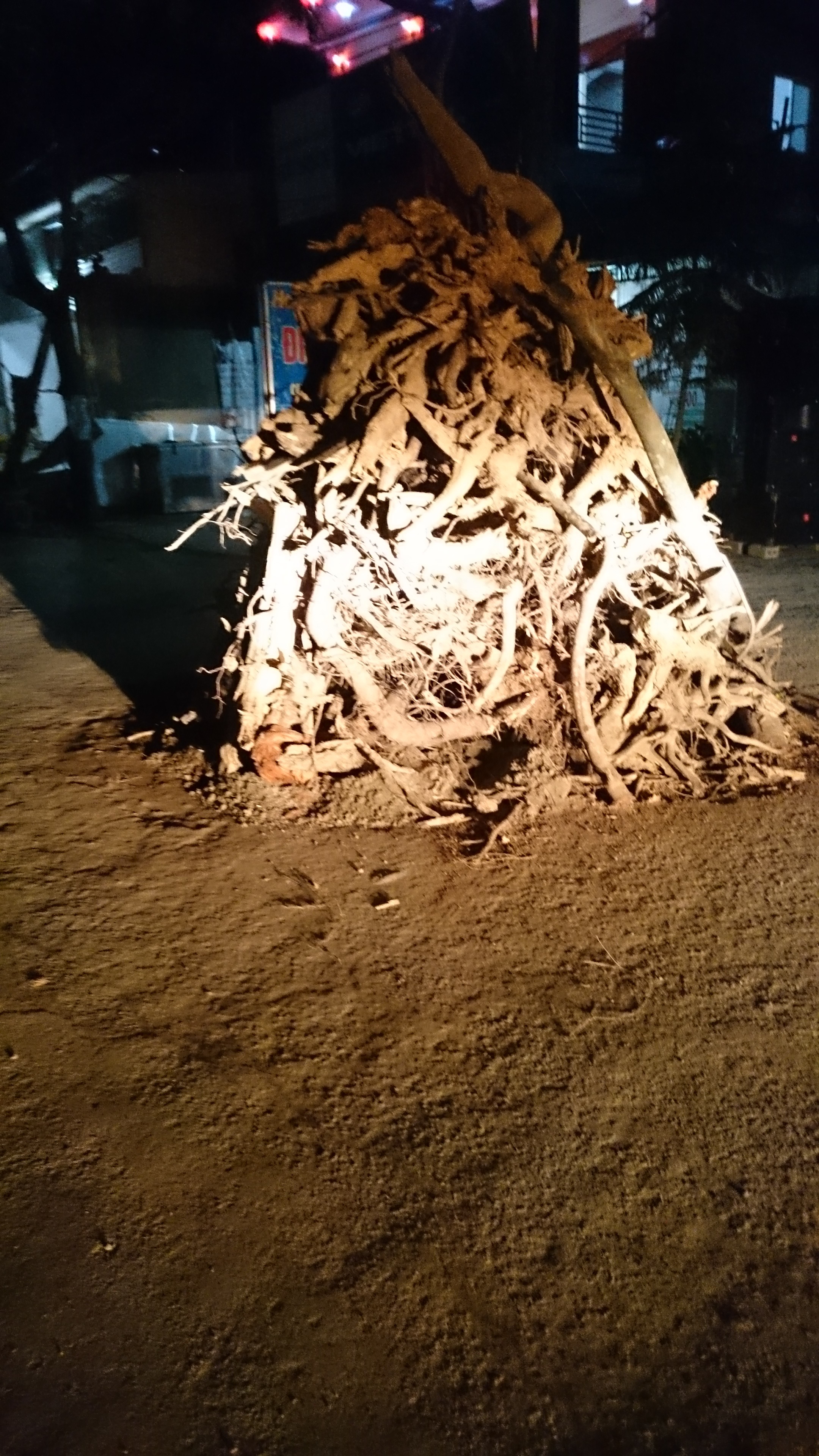 Ngọn lửa bốc cao như thổi bùng lên một khát khao về năm mới may mắn