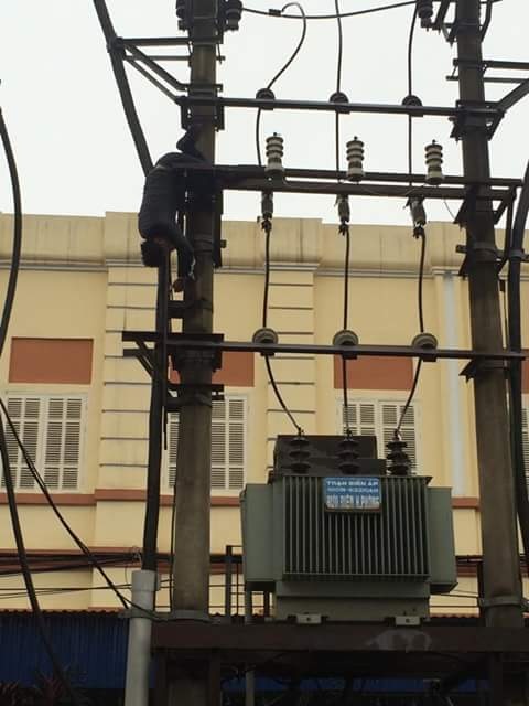 Nam thanh niên ngáo đá được phát hiện trên trạm biến áp