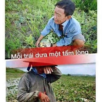 Người Hải Phòng mua hết 15 tấn dưa vùng lũ trong... 2 tiếng - 1 Người Hải Phòng mua hết 15 tấn dưa vùng lũ trong... 2 tiếng