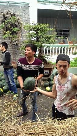Người Hải Phòng mua hết 15 tấn dưa vùng lũ trong... 2 tiếng - 4 Từ sáng sớm nhiều sinh viên và các thanh niên Hải Phòng tham gia bốc xếp dưa miễn phí