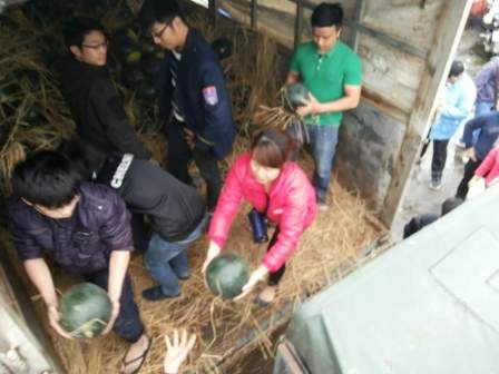 Người Hải Phòng mua hết 15 tấn dưa vùng lũ trong... 2 tiếng - 5 Hàng trăm người dân hồ hởi đi mua dưa giúp nông dân Quảng Nam trong lúc khó khăn.