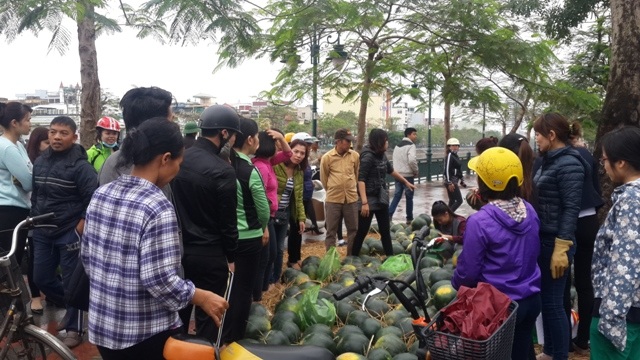 Người Hải Phòng mua hết 15 tấn dưa vùng lũ trong... 2 tiếng - 7 Hàng trăm người dân hồ hởi đi mua dưa giúp nông dân Quảng Nam trong lúc khó khăn.