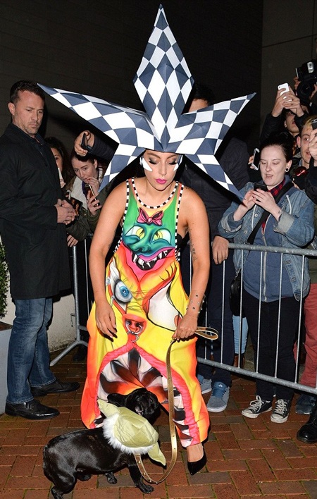 Cả Lady Gaga và chú cún của cô đều thu hút sự chú ý của các fan.