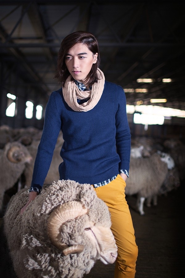 Tấn Khang - Mâu Thuỷ “tình tứ” ở xứ sở cừu Merino - 5 Tấn Khang đẹp hút hồn giữa trang trại cừu Merino, Úc