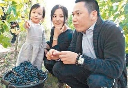 Vợ chồng “én nhỏ” Triệu Vy giàu có tới mức nào? - 1 Vợ chồng “én nhỏ” Triệu Vy giàu có tới mức nào?